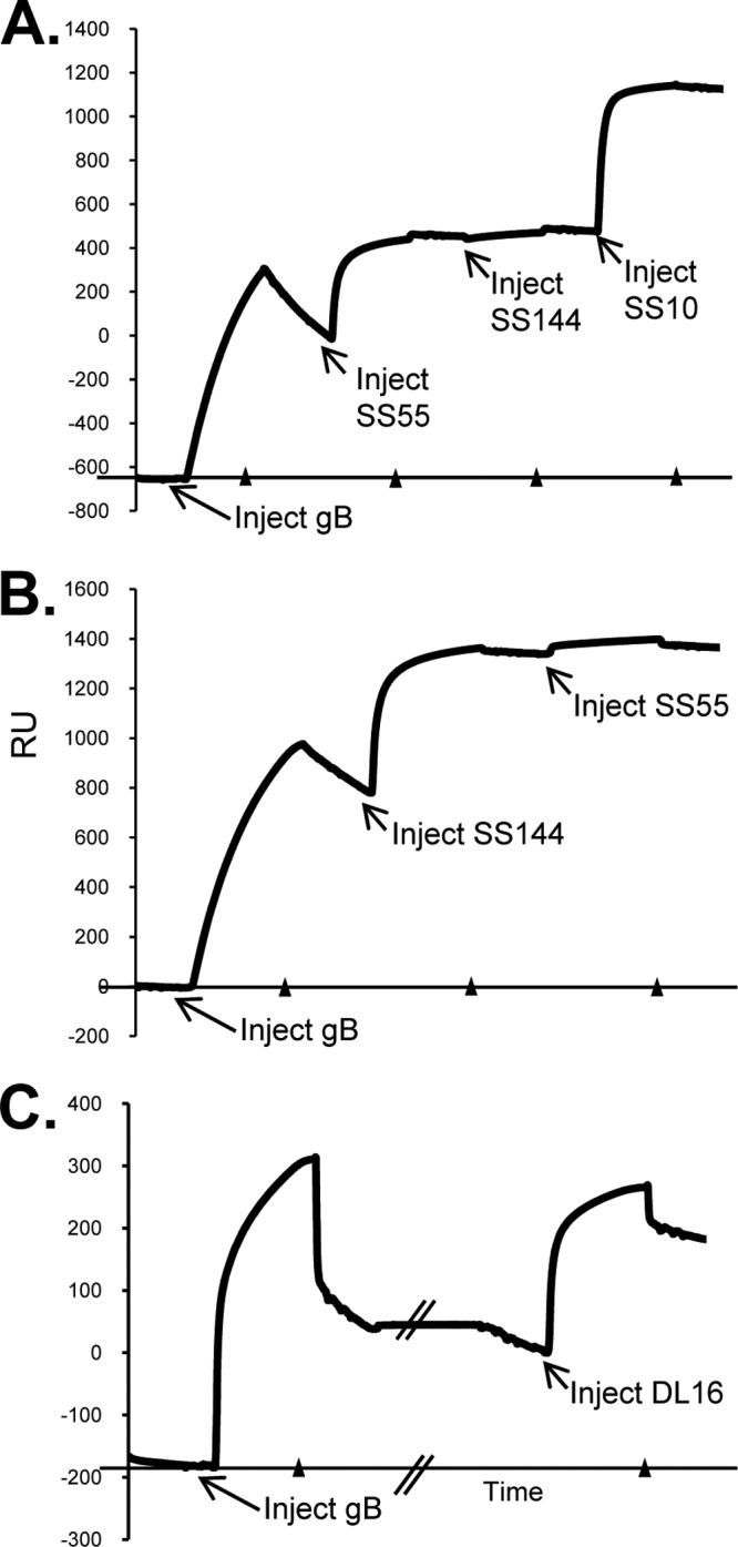 FIG 7