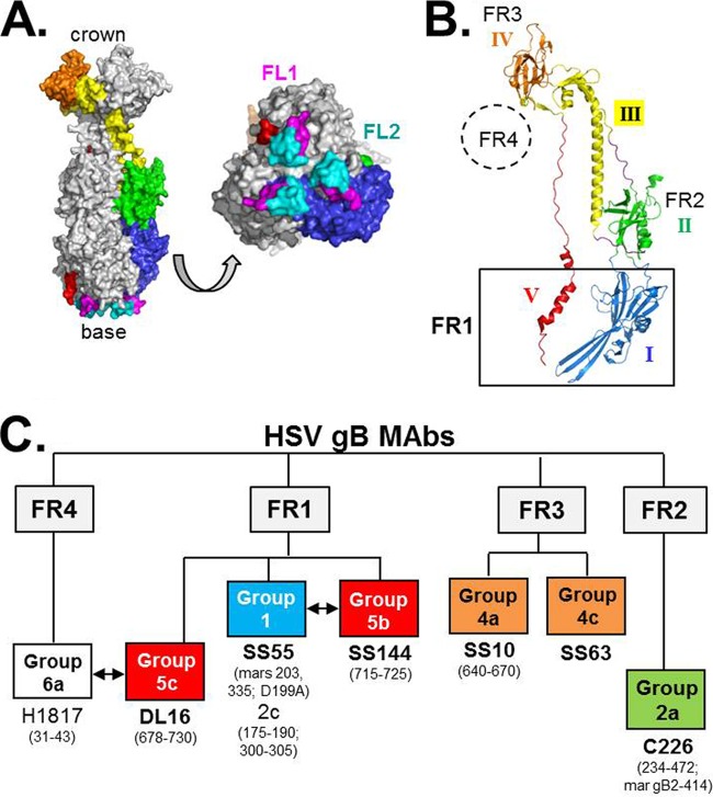 FIG 1