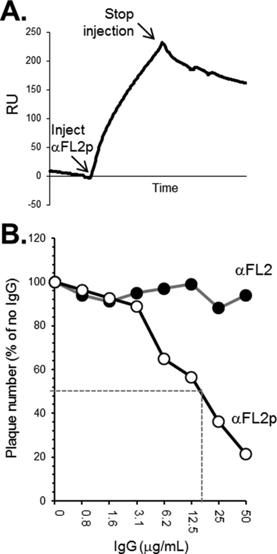 FIG 10