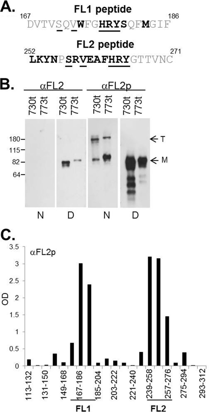 FIG 9