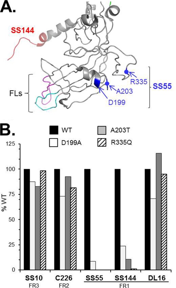 FIG 5