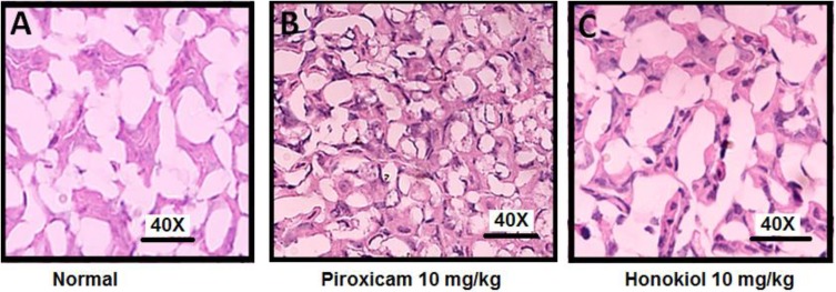 FIGURE 15