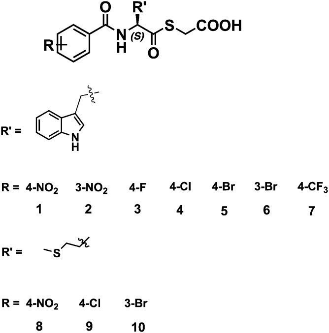 Fig. 1