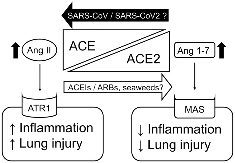 Figure 1