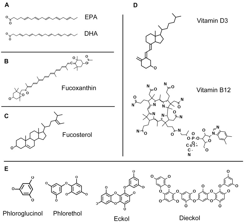 Figure 2