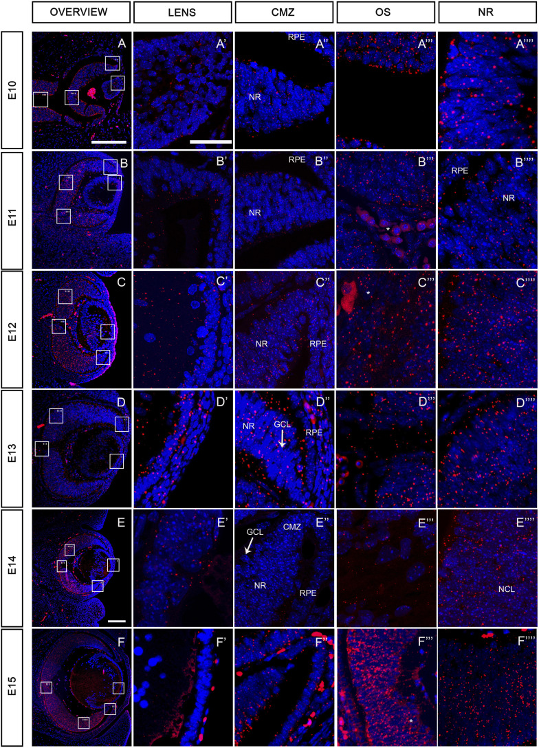 Figure 2.