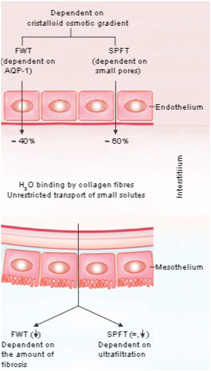 Figure 2 —