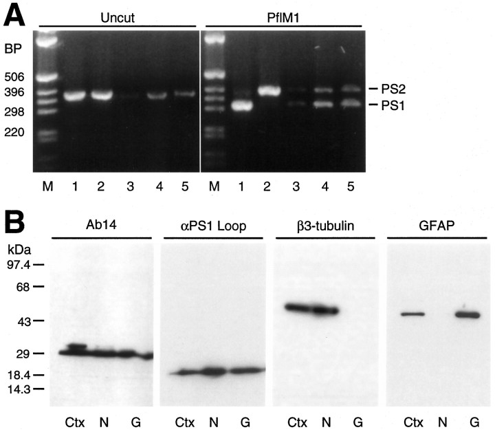 Fig. 9.