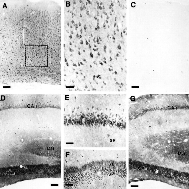 Fig. 10.