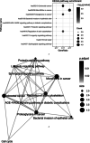 Fig 5