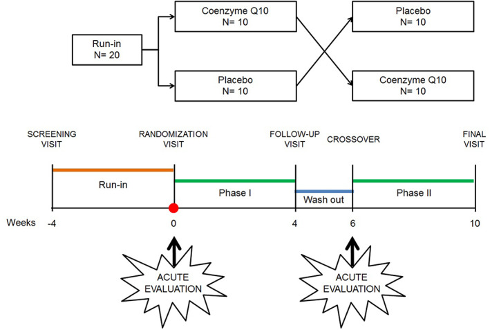 FIGURE 1