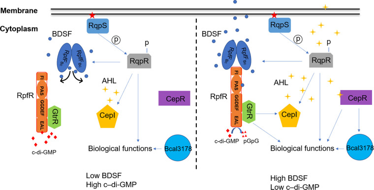 FIG 3