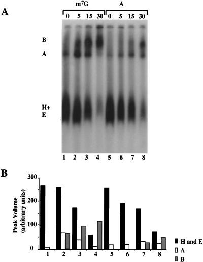 FIG. 5