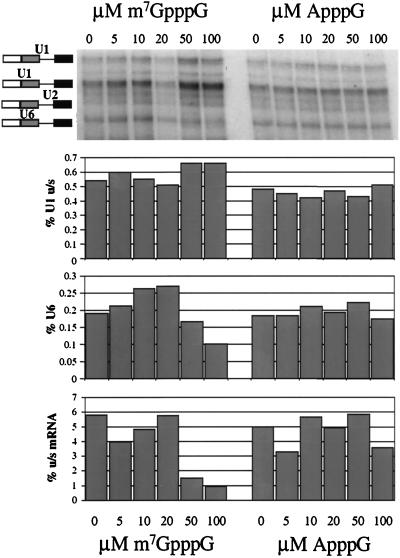 FIG. 8