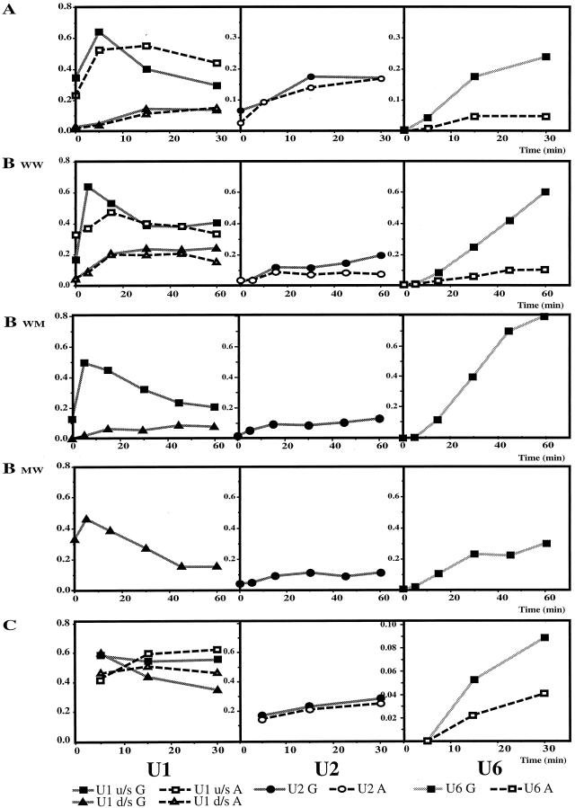 FIG. 7