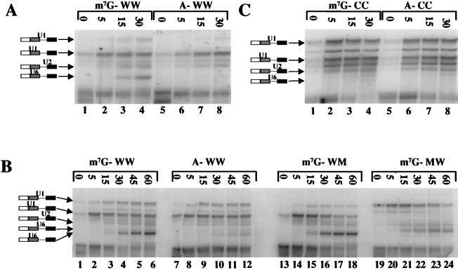 FIG. 6