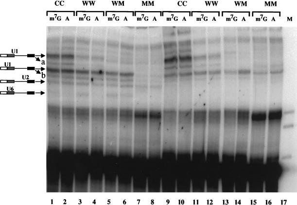 FIG. 3