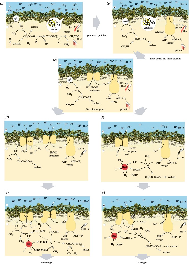 Figure 4.