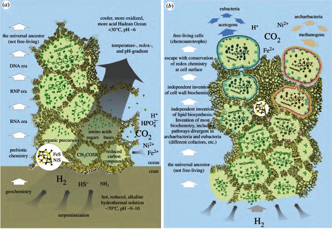 Figure 1.