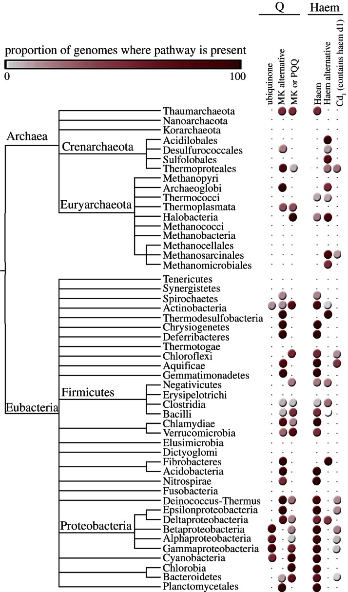 Figure 7.