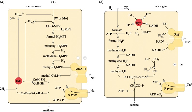 Figure 3.