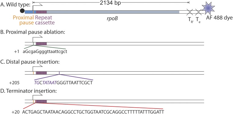 Fig. S4.