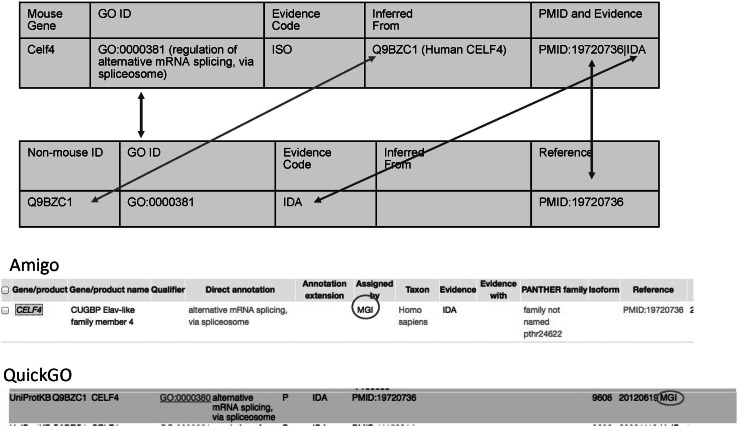 Fig. 2