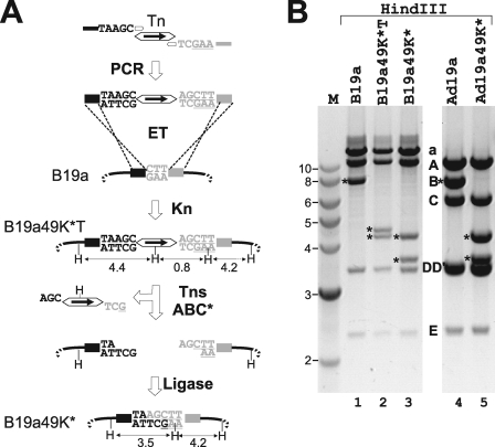 FIG. 4.