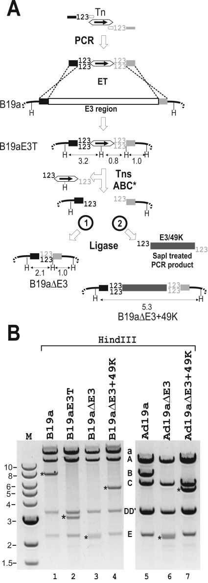 FIG. 5.