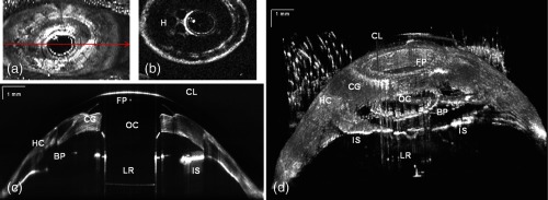 Fig. 7