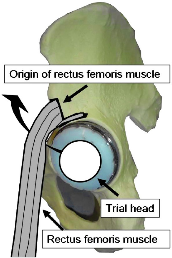 Fig. 5