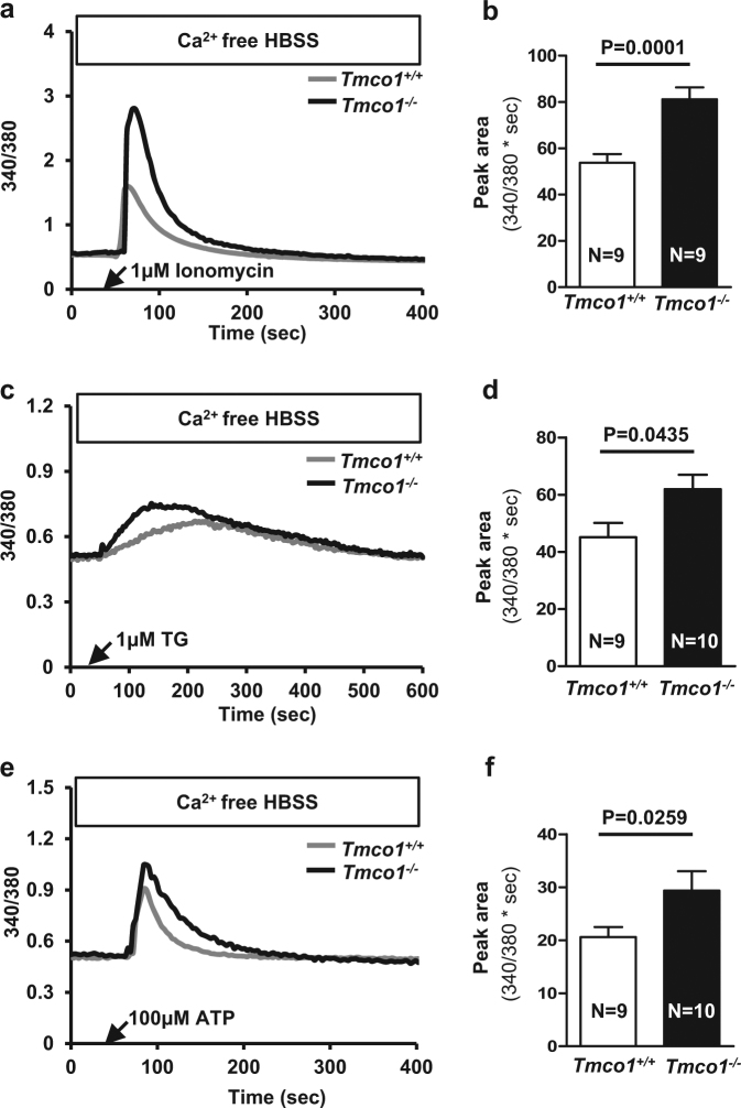 Fig. 4