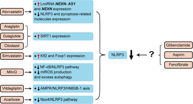 Fig. 6