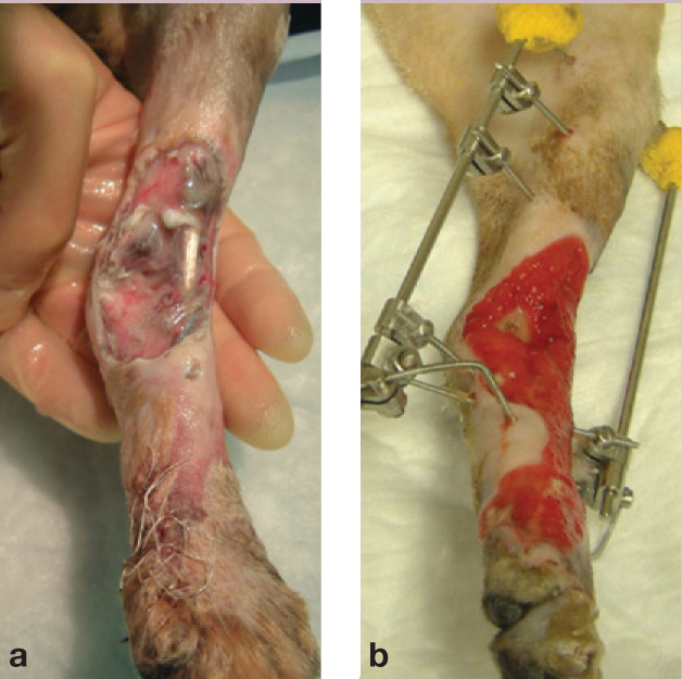 graphic file with name 10.1016_j.jfms.2009.07.009-fig13.jpg