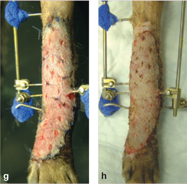 graphic file with name 10.1016_j.jfms.2009.07.009-fig16.jpg