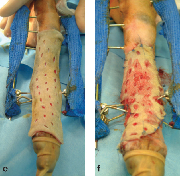 graphic file with name 10.1016_j.jfms.2009.07.009-fig15.jpg