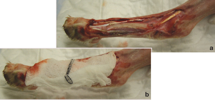 graphic file with name 10.1016_j.jfms.2009.07.009-fig11.jpg