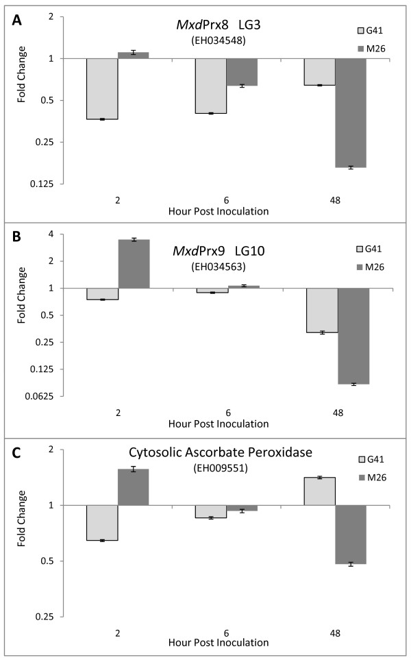 Figure 5 