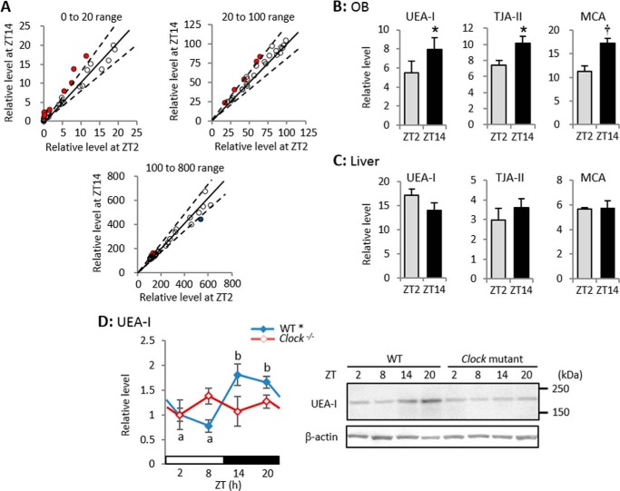 FIGURE 1.