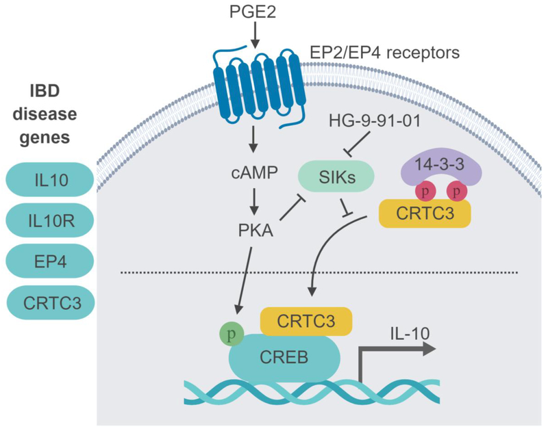 Figure 1: