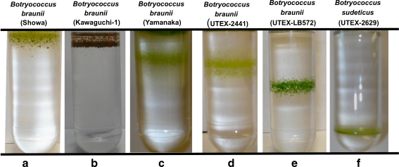 Fig. 4