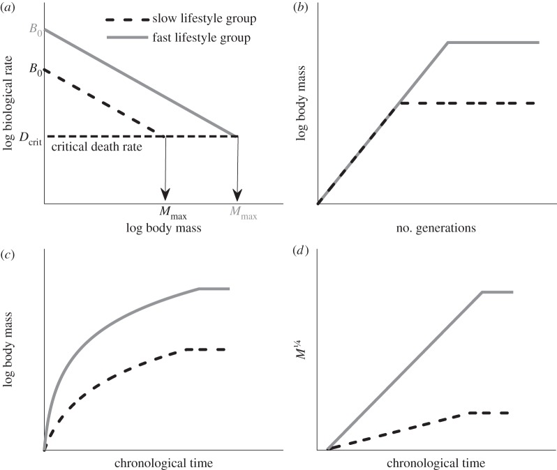 Figure 1.