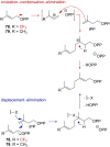Scheme 22