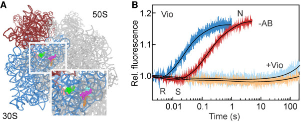 FIGURE 2.