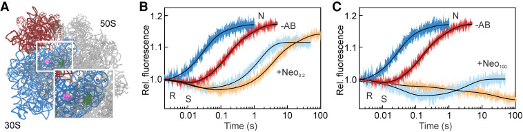 FIGURE 6.