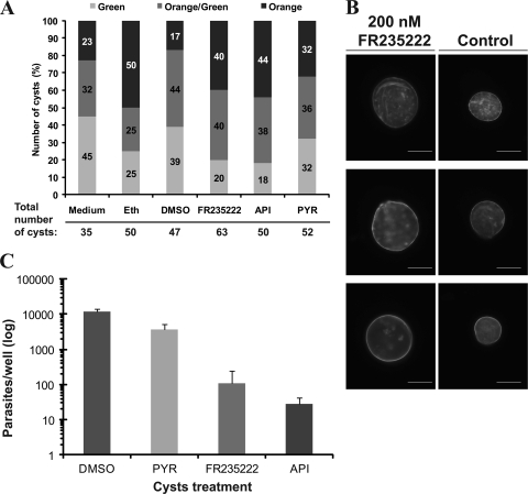 FIG. 2.