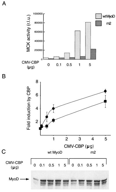 FIG. 6