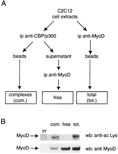 FIG. 1