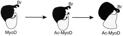 FIG. 8