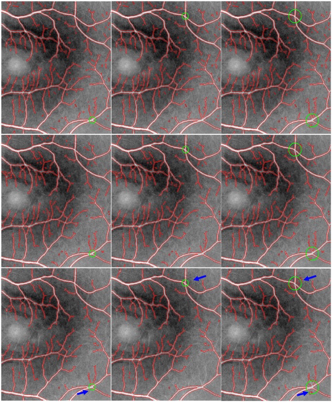 Fig 5